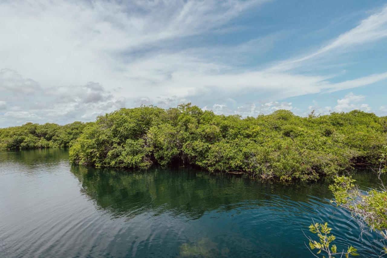 Yaxchen Tulum Cabanas & Cenote Екстер'єр фото