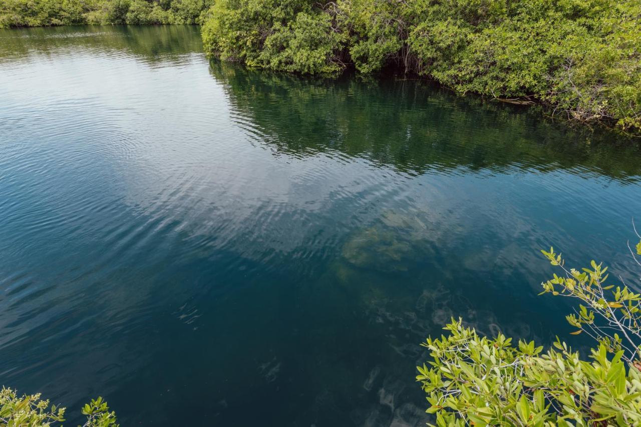 Yaxchen Tulum Cabanas & Cenote Екстер'єр фото