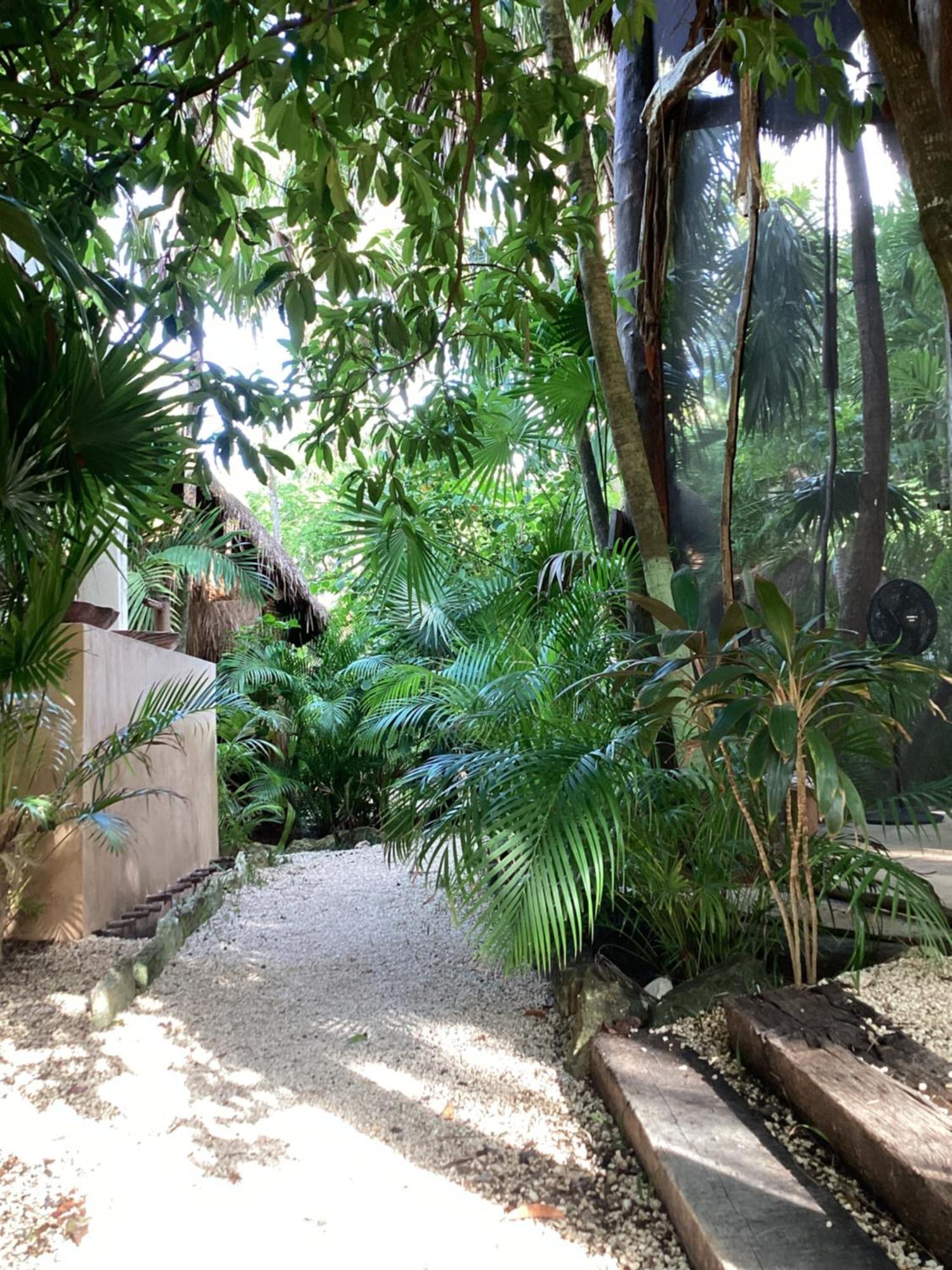 Yaxchen Tulum Cabanas & Cenote Екстер'єр фото